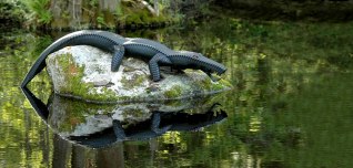 crocodile-sculpture-park